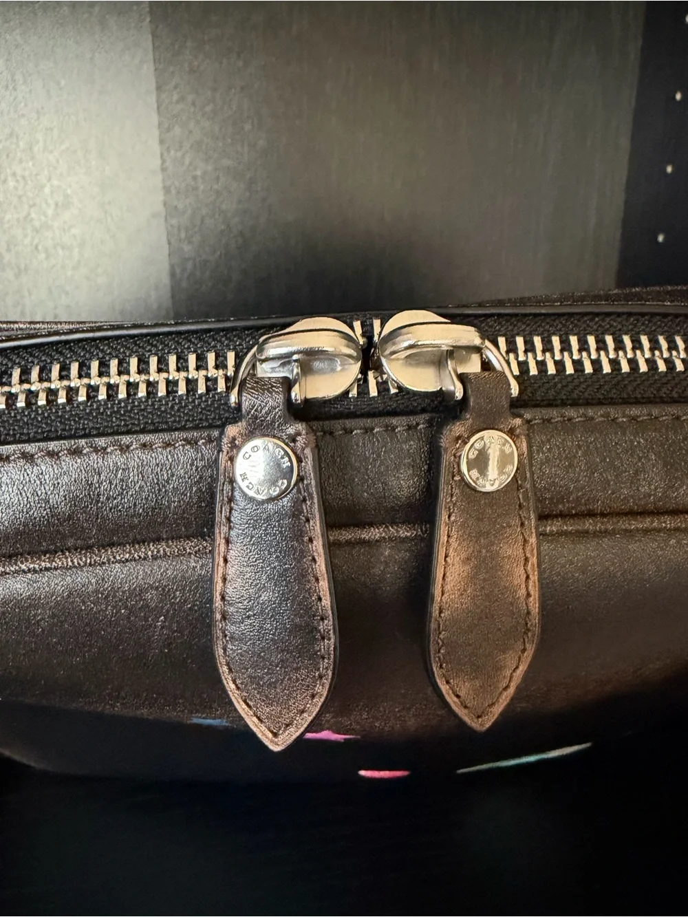 Coach Rexy Dakota Crossbody Bag
